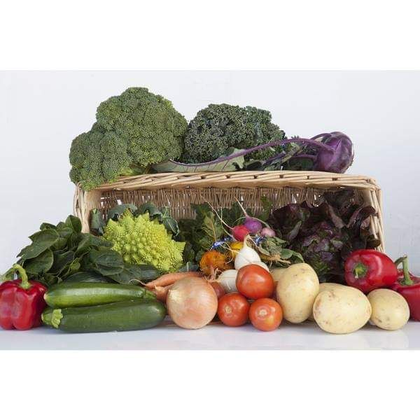 Large organic veg box