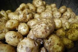 organic new potatoes